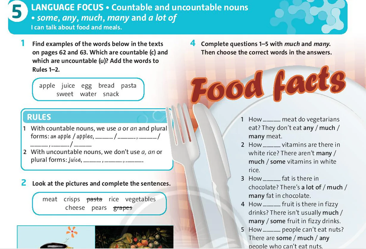 Language Focus (Page 65)