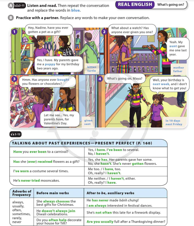 Language Focus