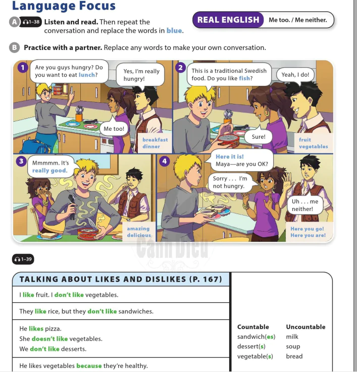 Language Focus