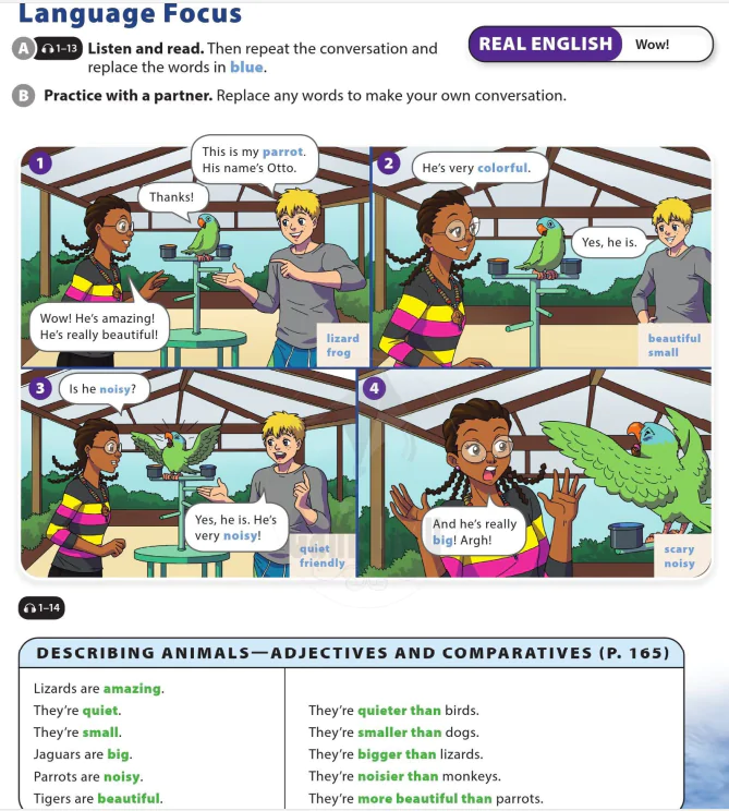 Language Focus