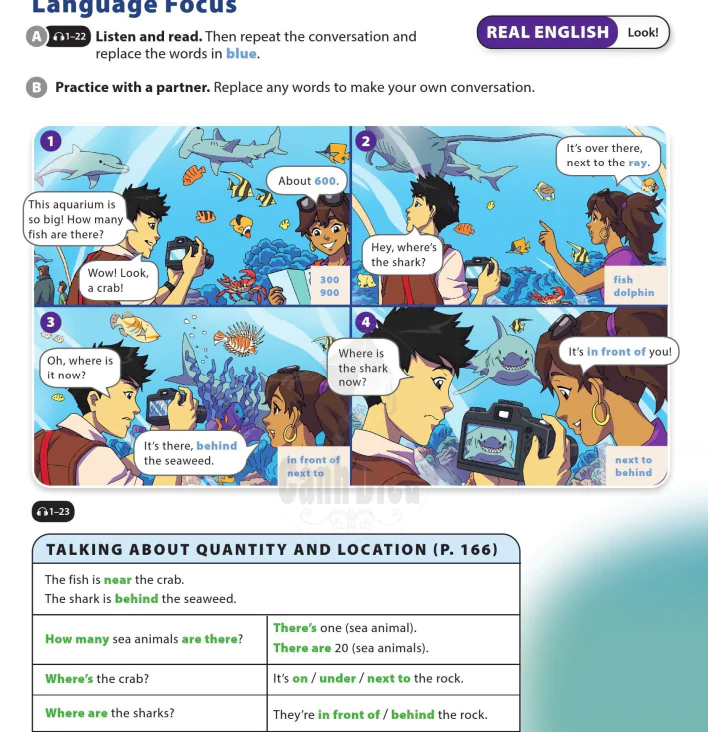 Language Focus
