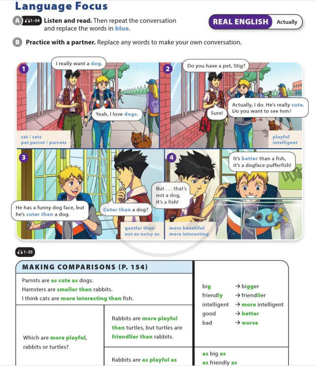 Language Focus