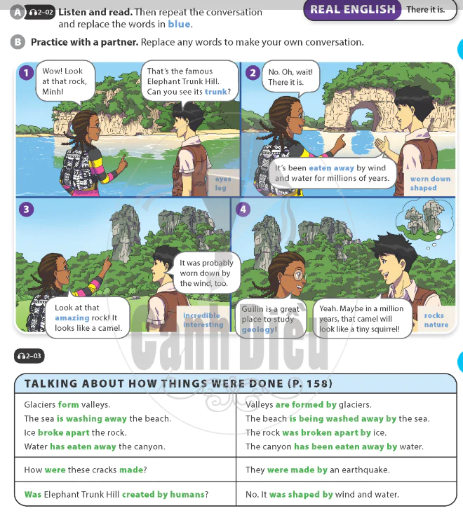 Language Focus
