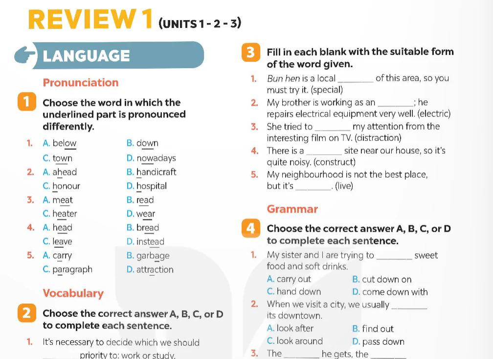Language