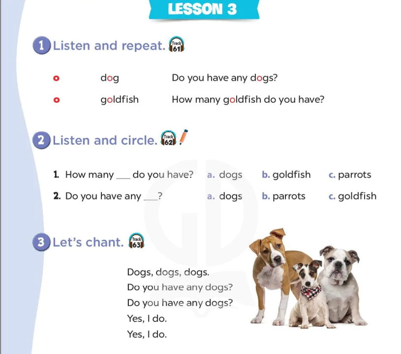 Lesson 3