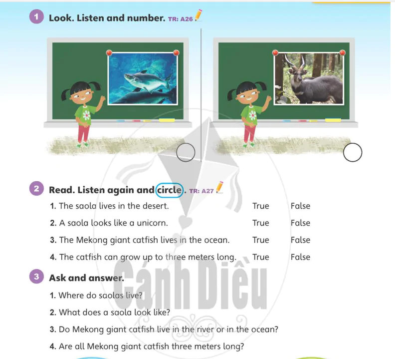 Lesson 4