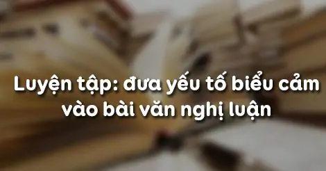 LUYỆN TẬP ĐƯA YẾU TỐ BlỂU CẢM VÀO BÀI VĂN NGHỊ LUẬN