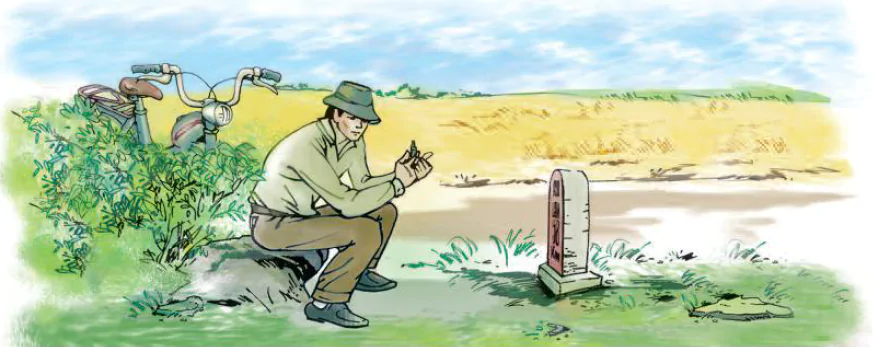 Luyện từ và câu: Liên kết các câu trong bài bằng cách thay thế từ ngữ