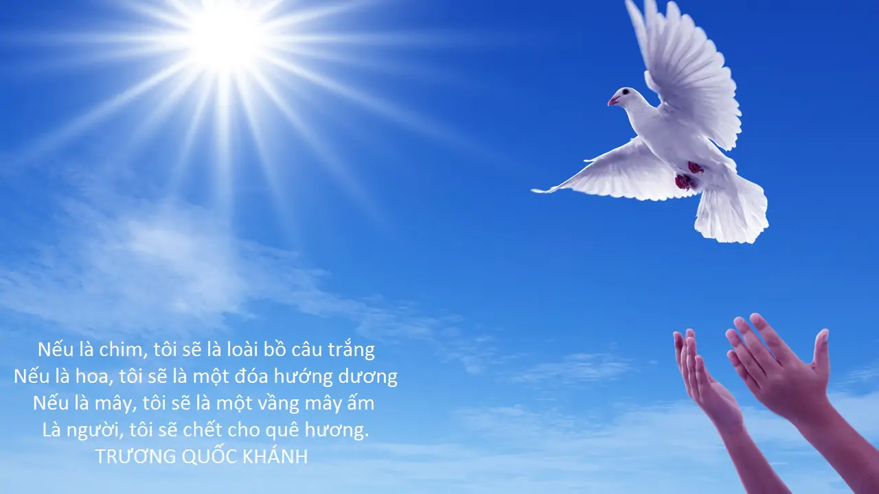 Luyện từ và câu: Nối các vế câu ghép bằng quan hệ từ