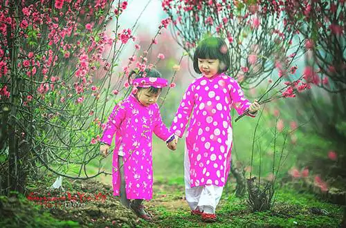 Luyện từ và câu: Ôn tập về từ loại