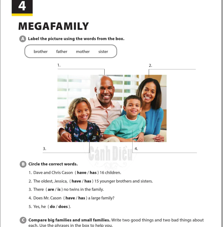 Megafamily