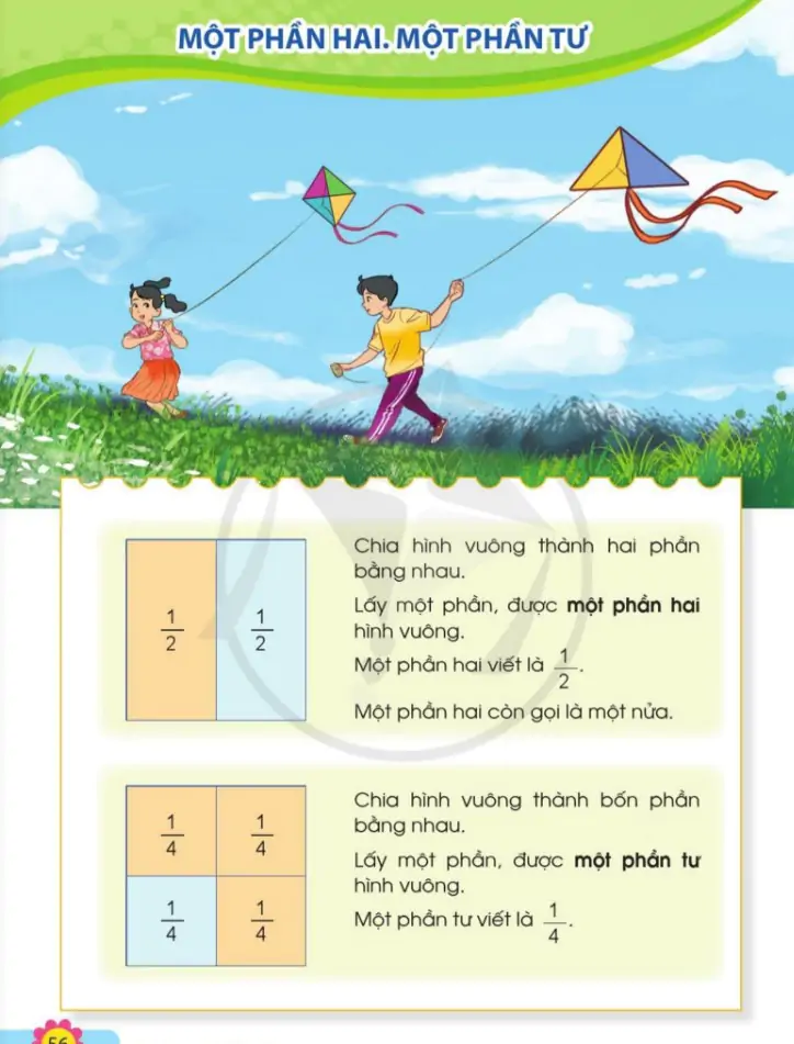 Một phần hai. Một phần tư