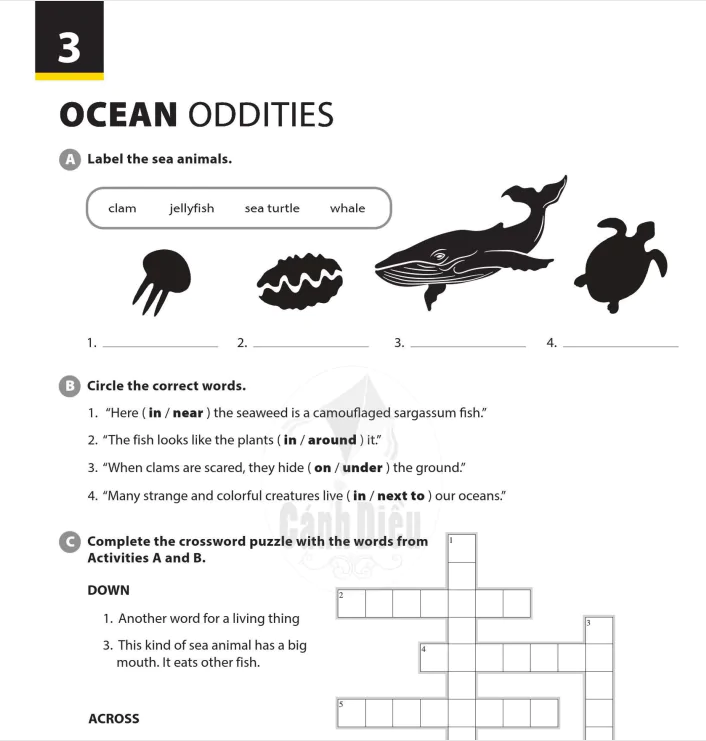 Ocean oddities