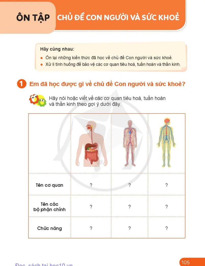 Ôn Tập Chủ Đề Con Người Và Sức Khỏe