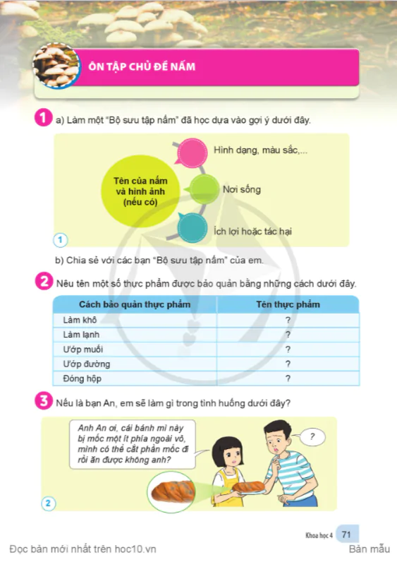 ÔN TẬP CHỦ ĐỀ NẤM