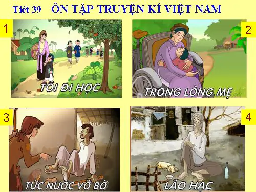 ÔN TẬP TRUYỆN KÍ VIỆT NAM