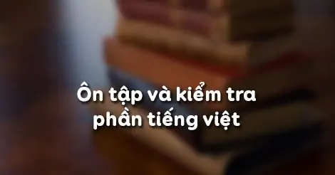 ÔN TẬP VÀ KIỂM TRA PHẦN TIẾNG VIỆT