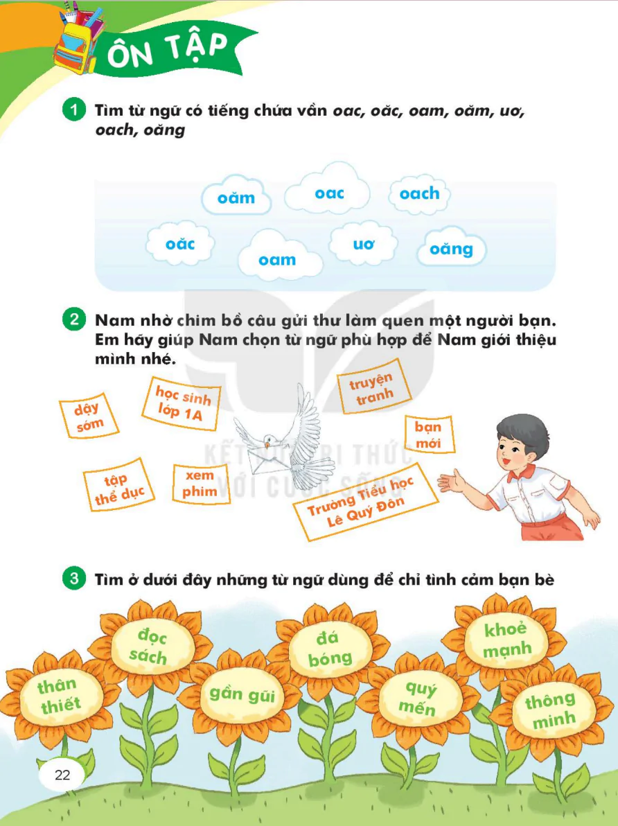 Ôn Tập