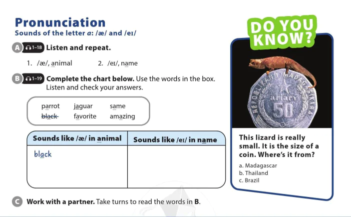 Pronunciation