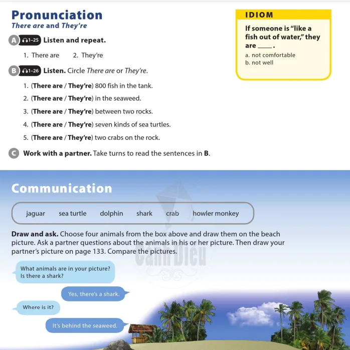 Pronunciation