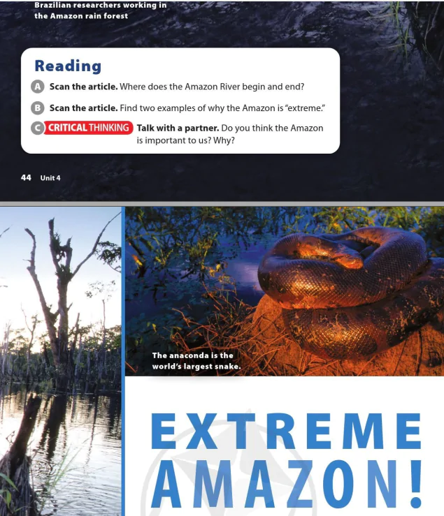 Reading