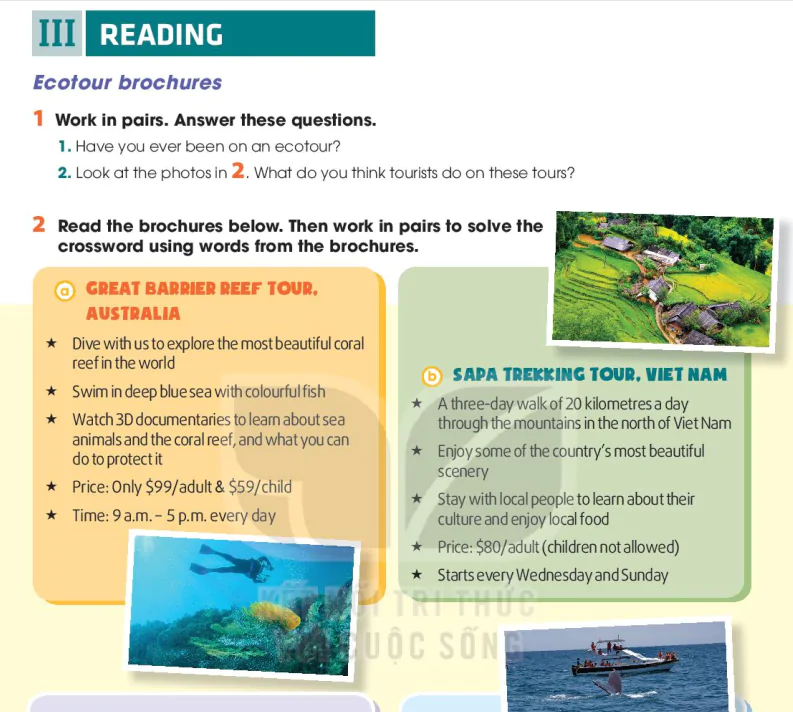 Reading