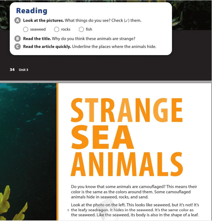 Reading