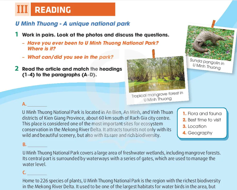 Reading