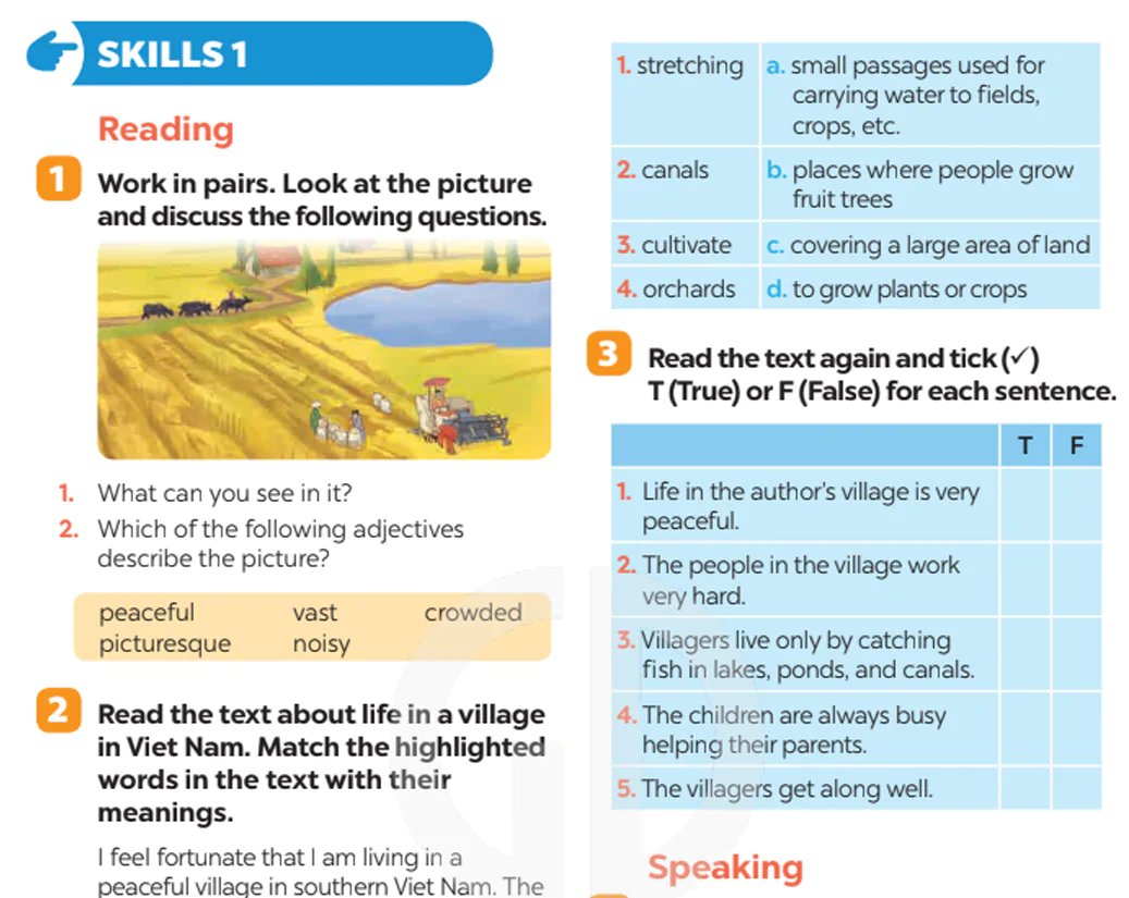 Skills 1