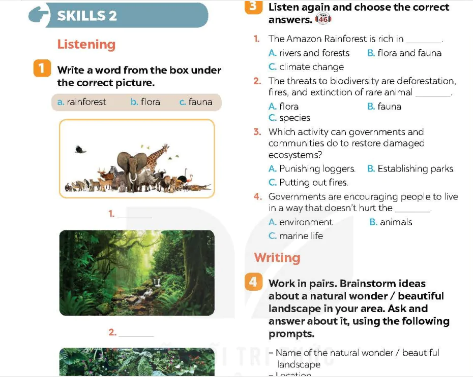 Skills 2