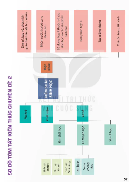 Sơ Đồ Tóm Tắt Kiến Thức Chuyên Đề 2