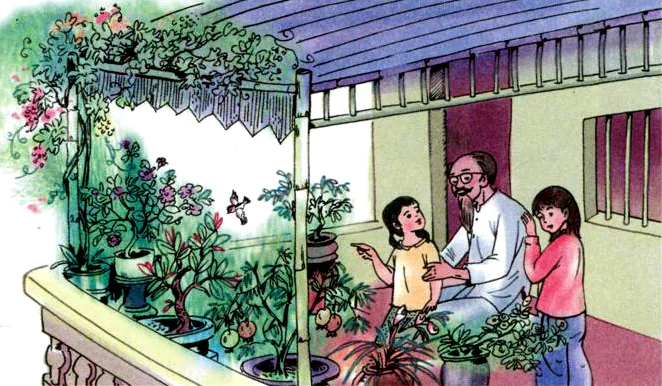 Tập đọc: Chuyện một khu vườn nhỏ