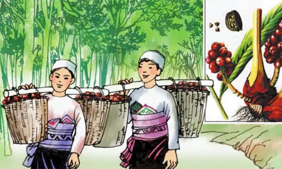 Tập đọc: Mùa thảo quả
