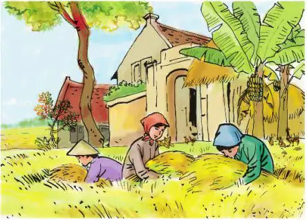 Tập đọc: Quang cảnh làng mạc ngày mùa