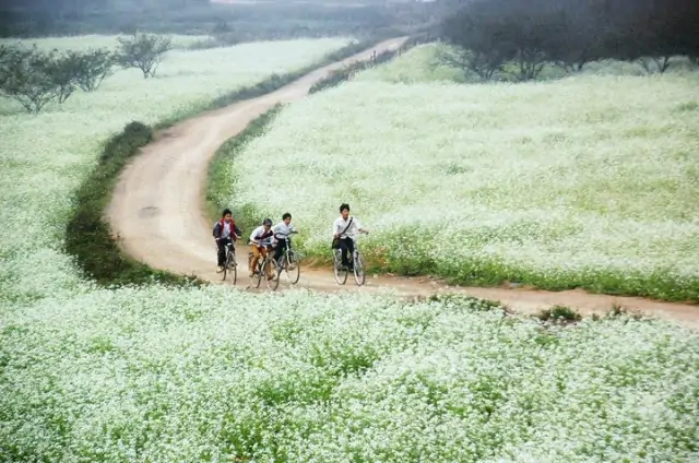 Tập làm văn: Luyện tập tả cảnh (Dựng đoạn mở bài, kết bài)