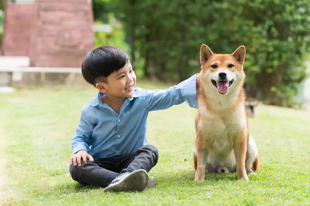 Tập làm văn: Trả bài văn tả con vật