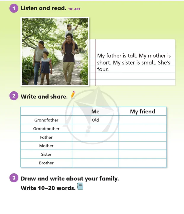Text B