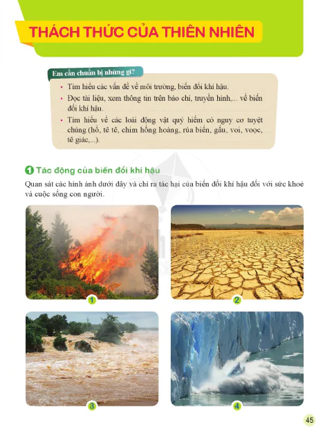 Thách thức của thiên nhiên