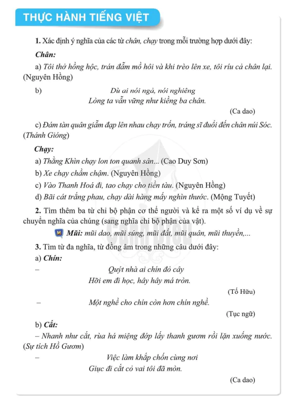 Thực hành tiếng Việt