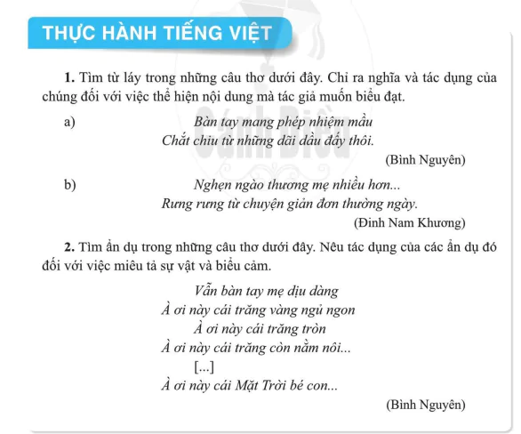 Thực hành tiếng Việt