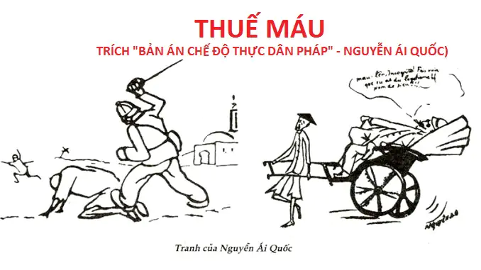 THUẾ MÁU