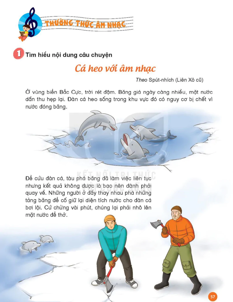 Thường Thức Âm Nhạc: Cá Heo Với Âm Nhạc