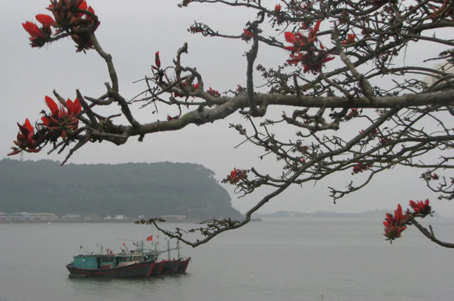 Tiết 7