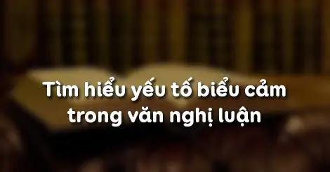 TÌM HIỂU YẾU TỐ BIỂU CẢM TRONG VĂN NGHỊ LUẬN