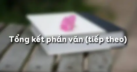 TỔNG KẾT PHẦN VĂN (tiếp theo)