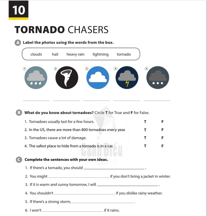 Tornado chasers