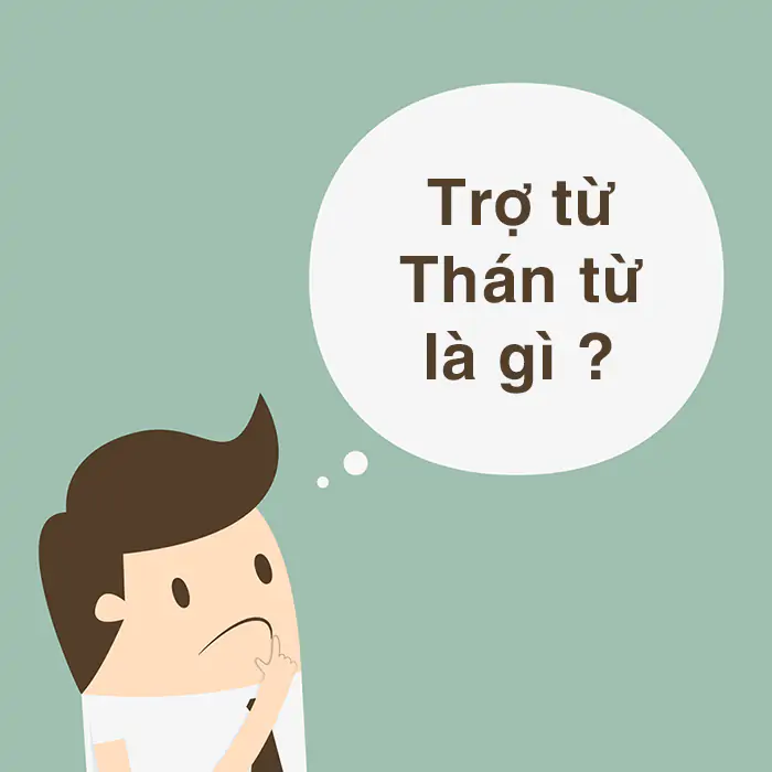 TRỢ TỪ, THÁN TỪ