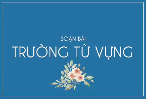TRƯỜNG TỪ VỰNG