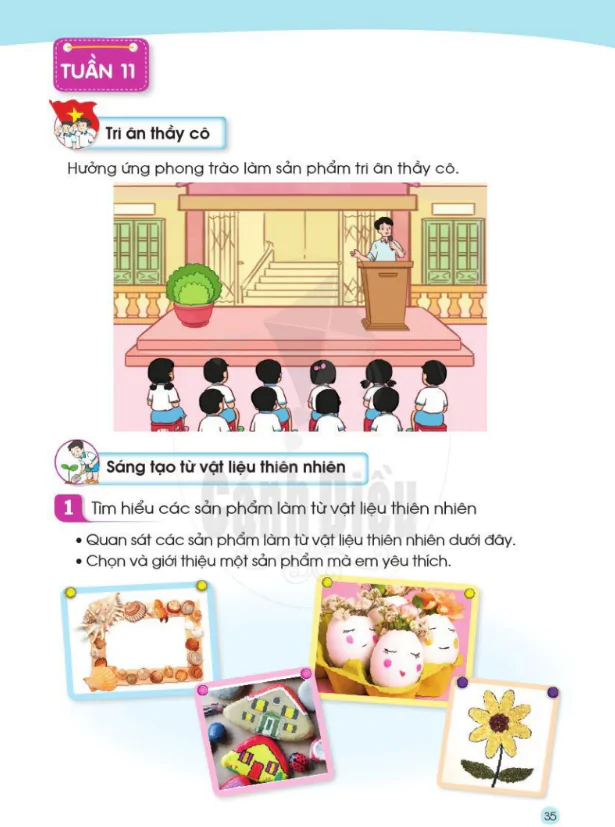 Tuần 11
