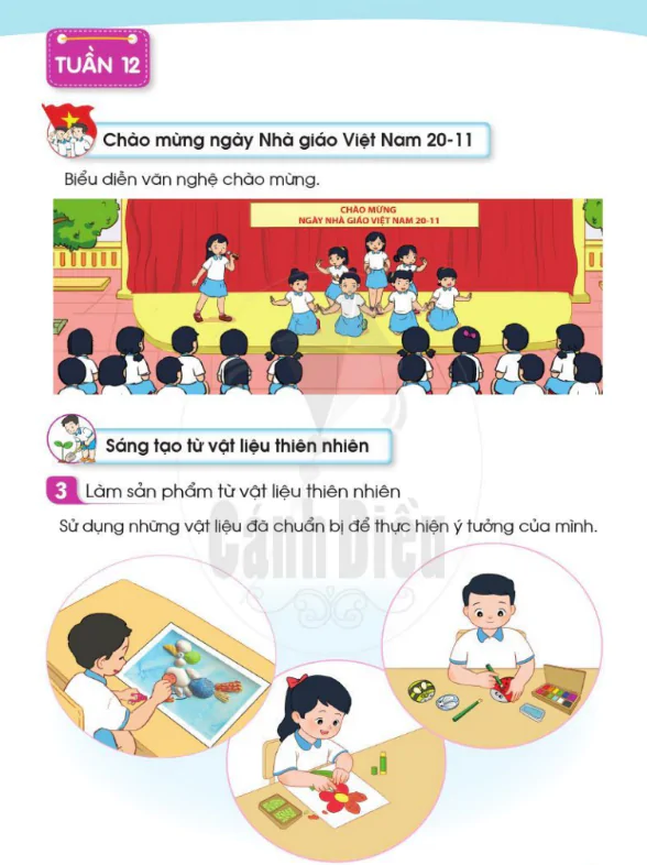 Tuần 12